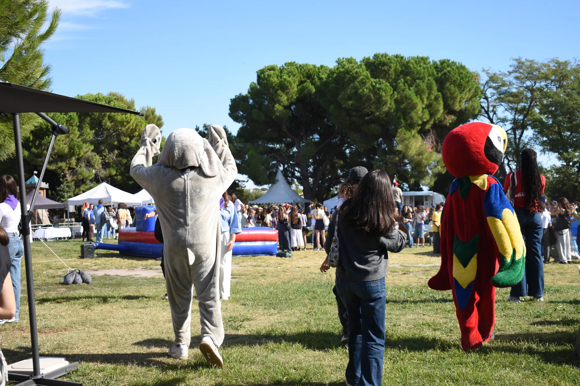 Mascottes et étudiants sur la pelouse du Jardin Albert 1er pendant la JAE 2025